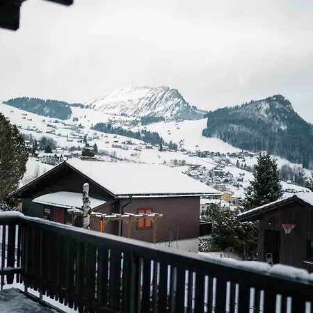 Bergdohle Amden